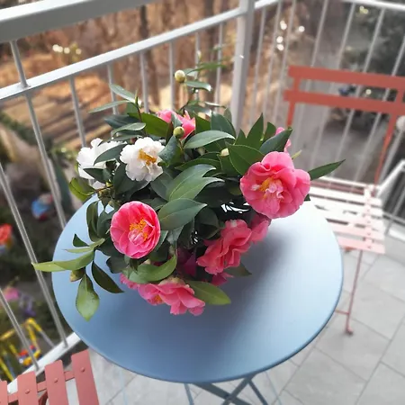 Apartment Emotion 20 E Sei A Casa In Centro! Mailand